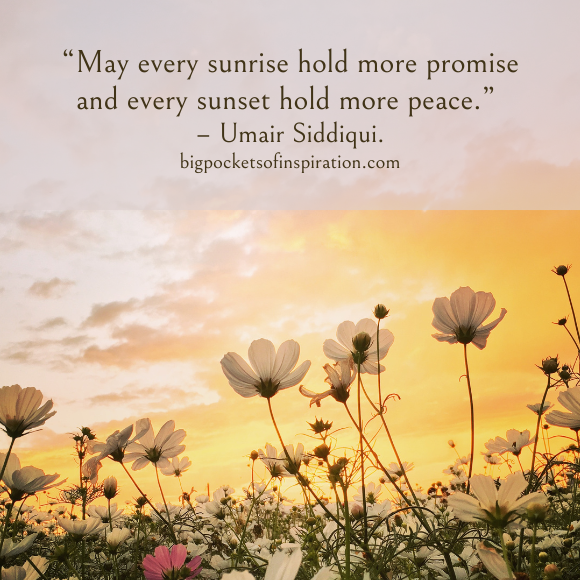 sunset quotes
sunset images
quotes about the sunset