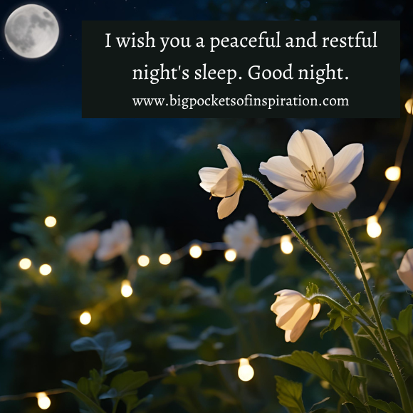 cute good night messages
cute good night wishes
good night messages
good night wishes image