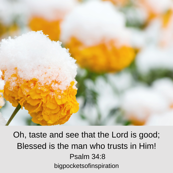 Bible scriptures about blessings
Bible verses about blessings
Bible scriptures about blessings image