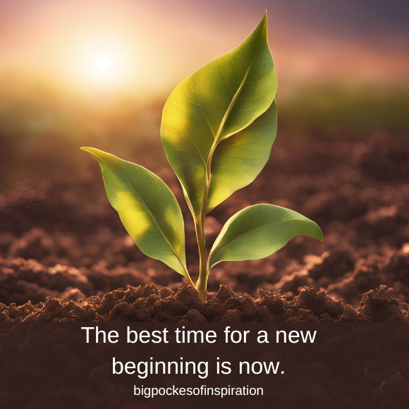 new beginnings quote
new beginning quote
new beginnings pic
new beginnings image 